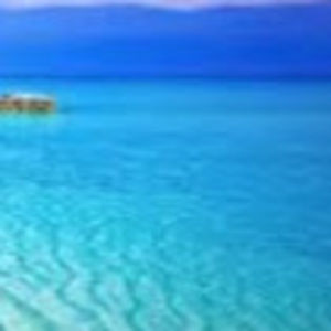 Meet your Posher, Destiny